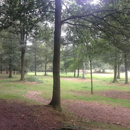 B&B Landgoed Bergerven-3